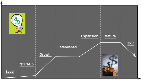 Image of the seven stages of a business life cycle